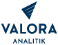 logo usa